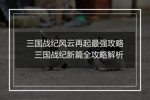 三国战纪风云再起最强攻略　三国战纪新篇全攻略解析